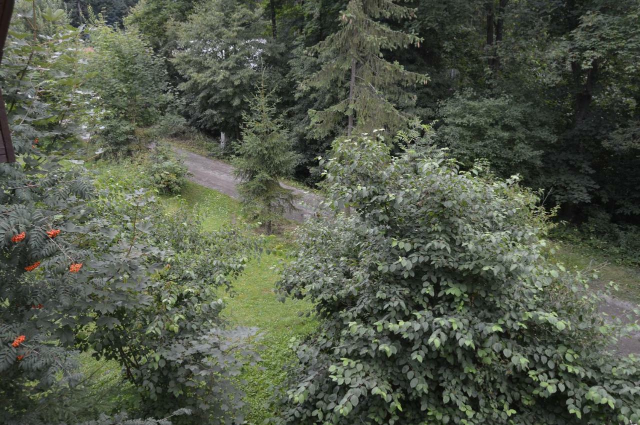 Chata Adrian Slovak Paradise Spisske Tomasovce Exterior foto